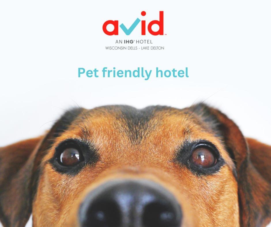 Avid Hotel Wisconsin Dells Lake Delton By Ihg 외부 사진